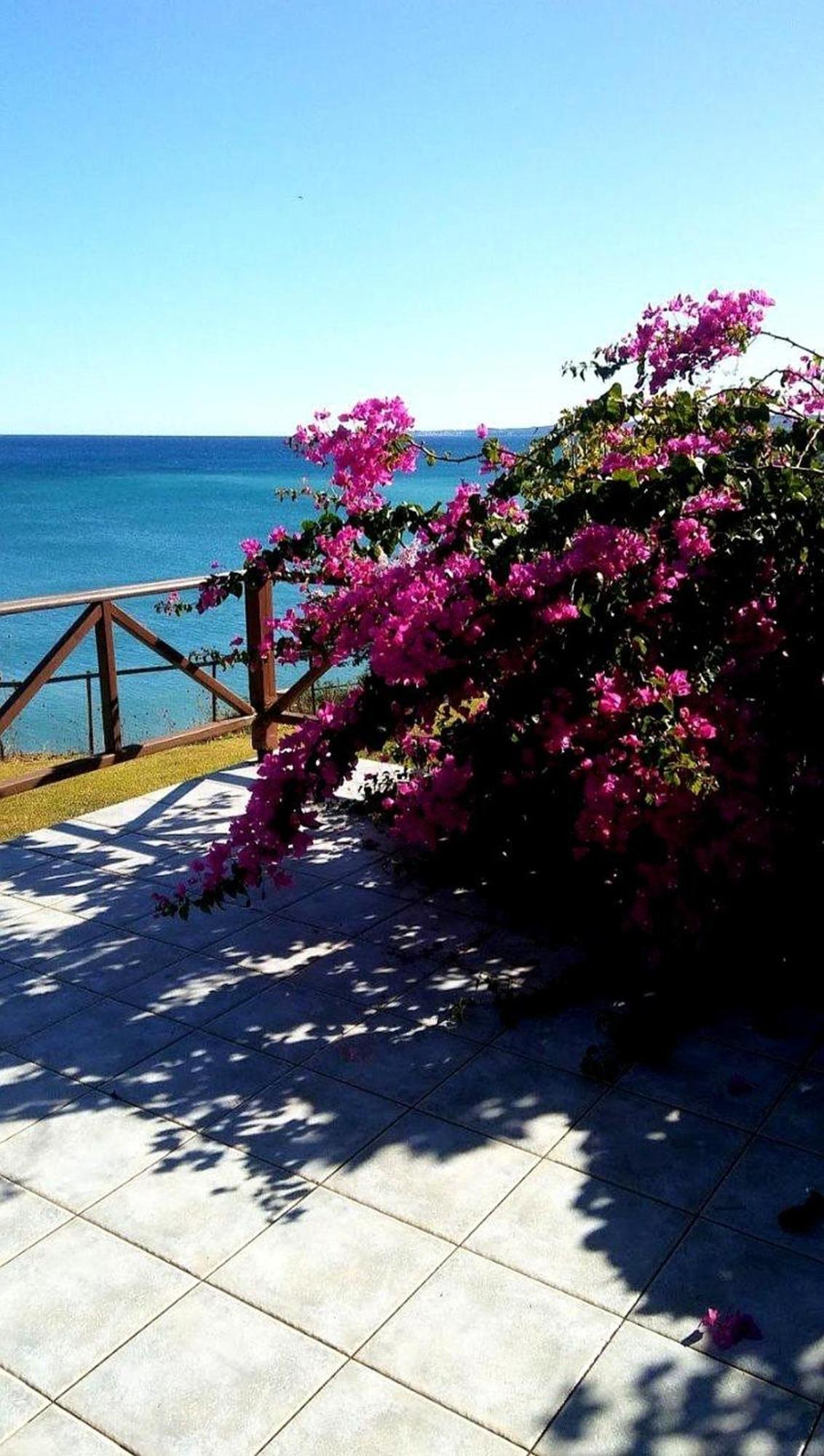 Panorama Beach Храни Екстериор снимка