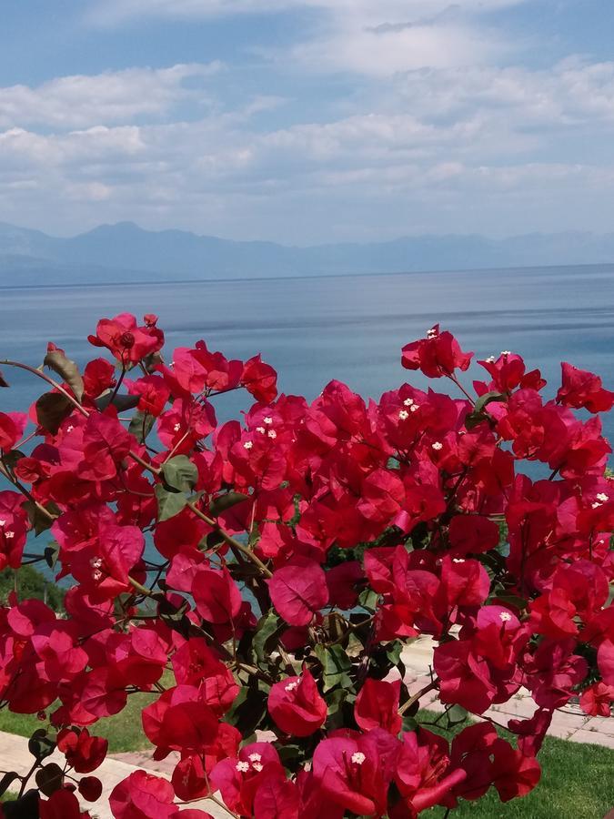 Panorama Beach Храни Екстериор снимка